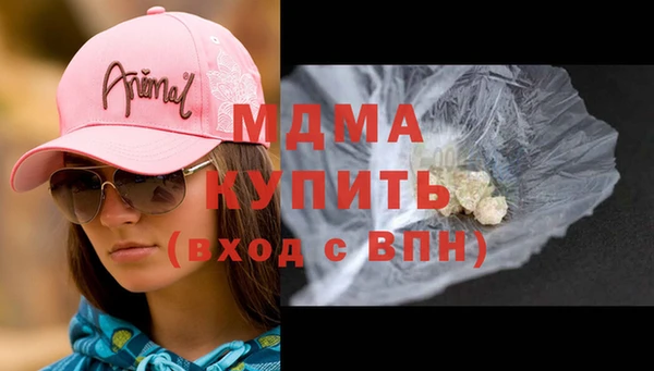 шишки Арсеньев