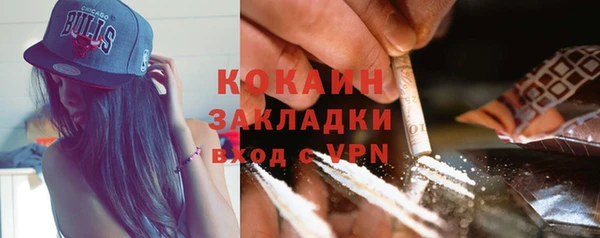 шишки Арсеньев