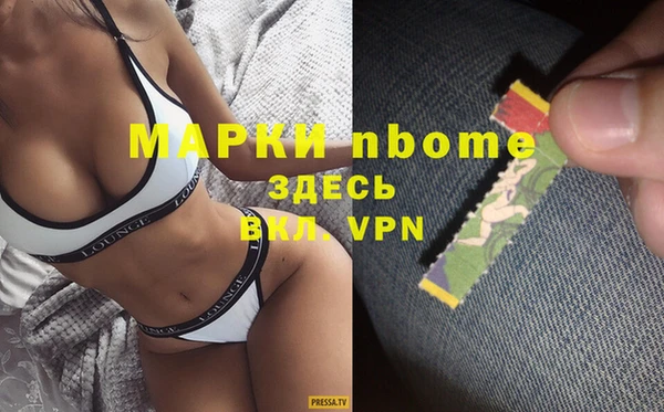 шишки Арсеньев