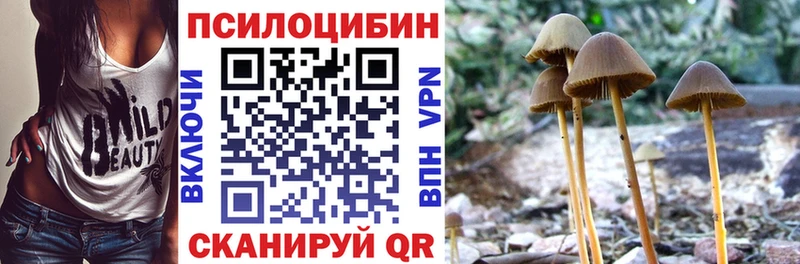 Псилоцибиновые грибы Psilocybine cubensis  это наркотические препараты  Белокуриха 